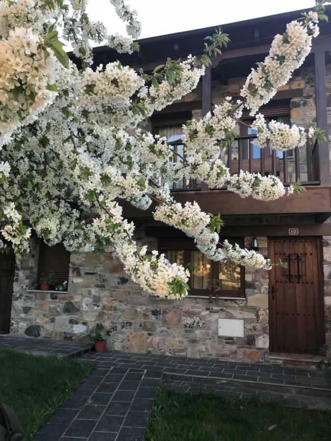 Espinareda de Vega Casa Rural Magdalenaヴィラ エクステリア 写真